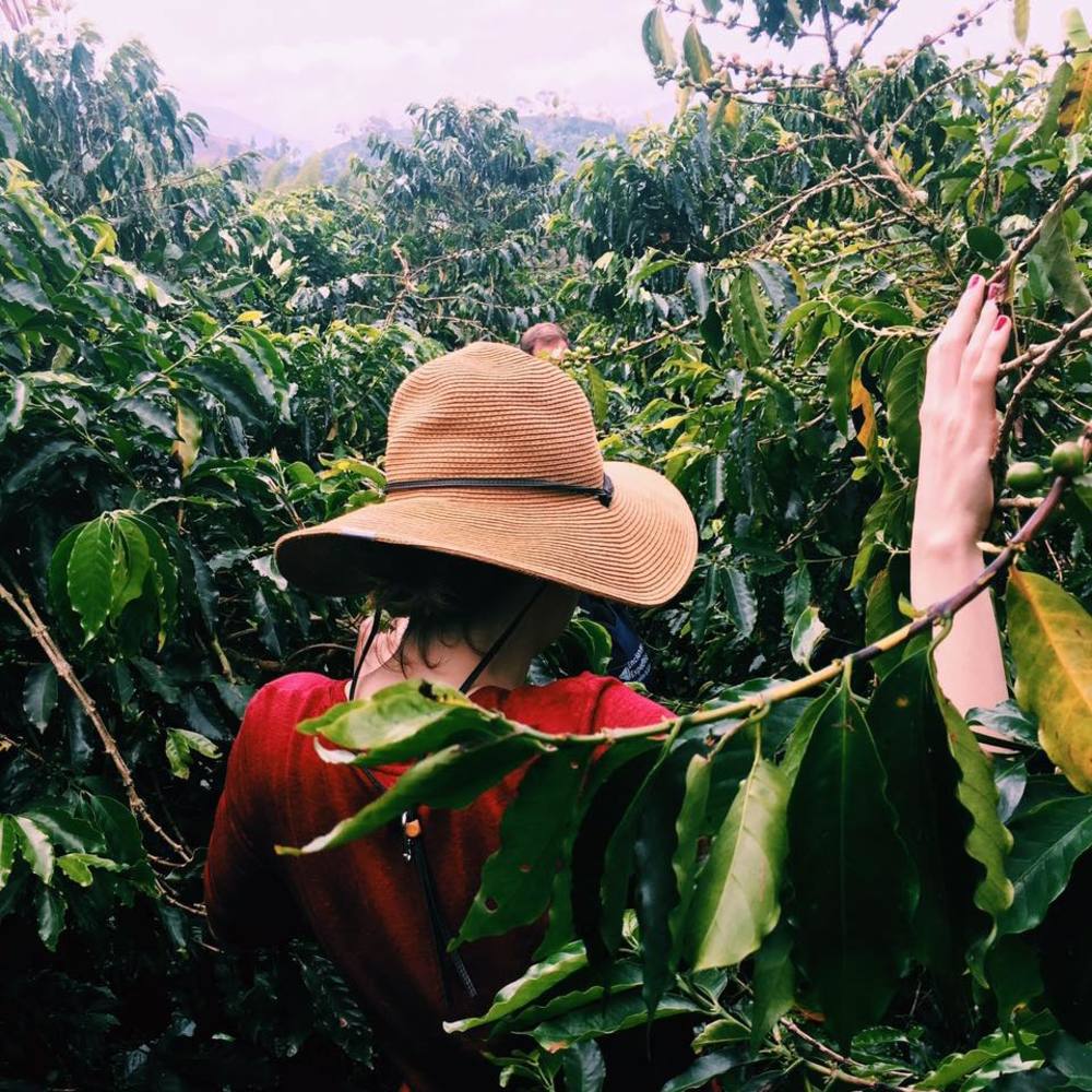 Meet your Posher, Margarita